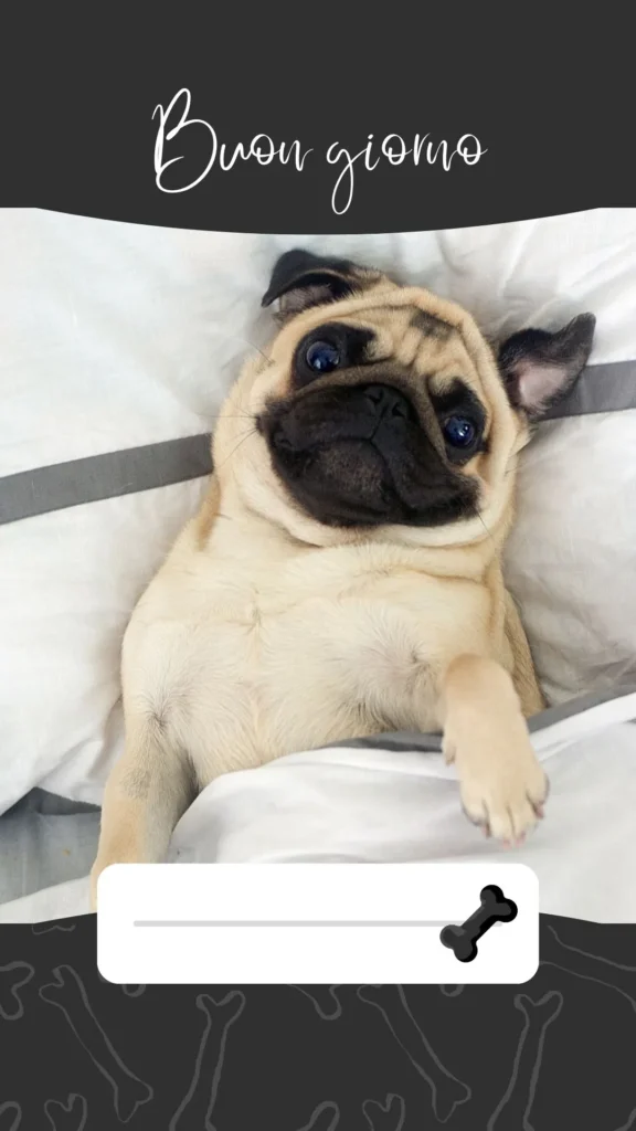 Cane che dà il buongiorno