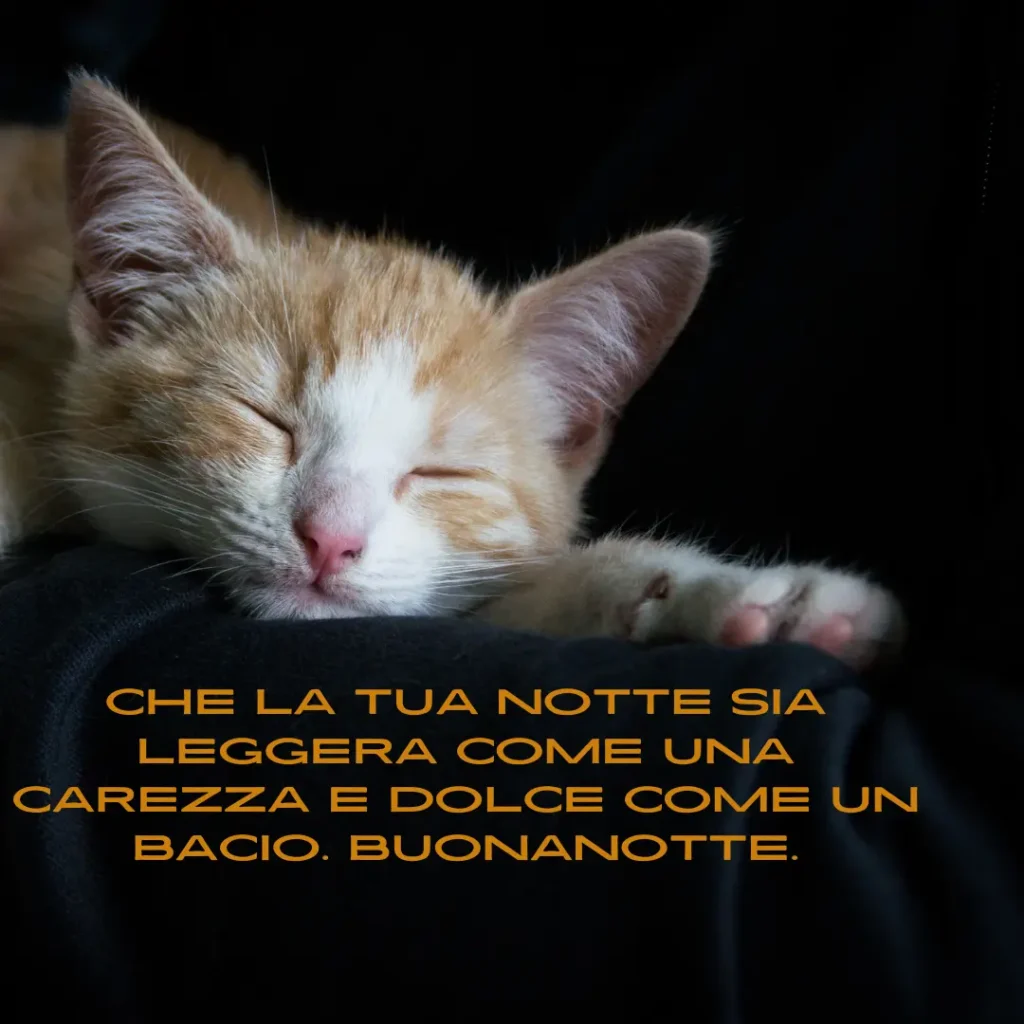 Buonanotte Desiderio di baciare