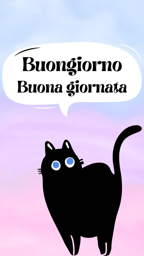 Gatto nero con occhiali