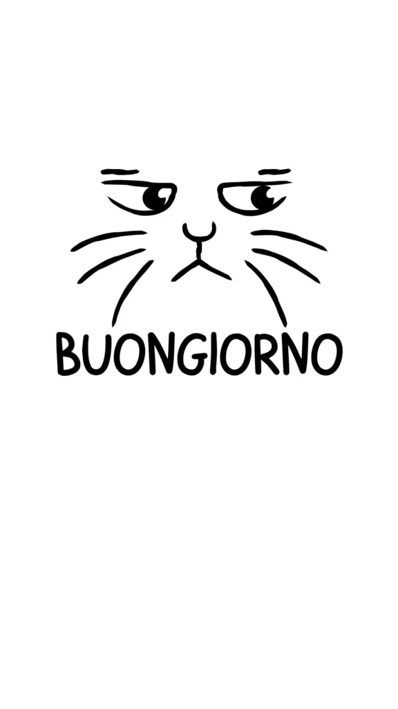Immagini di buongiorno con gatti divertenti