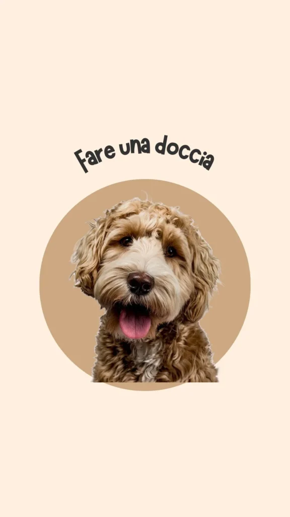 Divertente doccia di buongiorno per cani